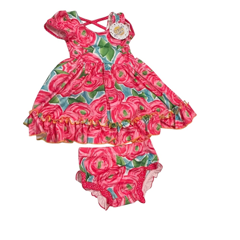 Charlie's Project Kids Pink Rose Floral Twirl Dress and Bloomers Set 2T NWT
